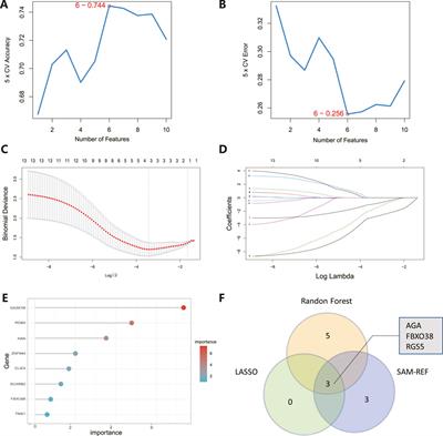 Identification and experimental validation of hub genes underlying depressive-like behaviors induced by chronic social defeat stress